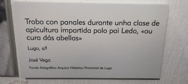 Fotografía da exposición... Aparece escrito "Ou cura das abellas"
