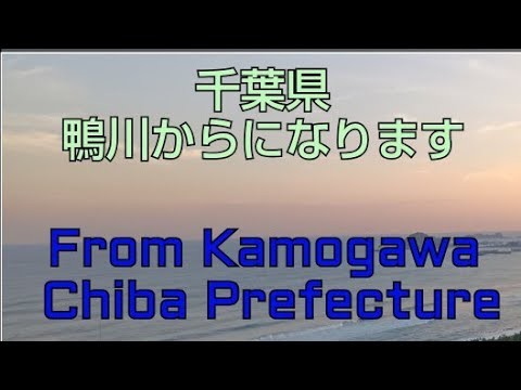 NAOchannel5570 千葉県・鴨川市から！From Kamogawa, Chiba Prefecture#shorts#千葉県#鴨川市
