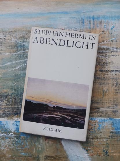 Foto des Buches, auf dessen weißem Cover das Foto einer Marschlandschaft mit Wasserflächen und Bäumen unter einem weiten Abendhimmel zu sehen ist. Das Buch liegt auf einem gemalten Bild, das farblich in Braun-, Weiß- und Hellblautönen die Abendstimmung aufnimmt.