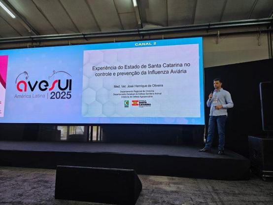 Imagem de capa da notícia, infelizmente por ser um bot hospedado gratuitamente, não consigo gerar texto alternativo!