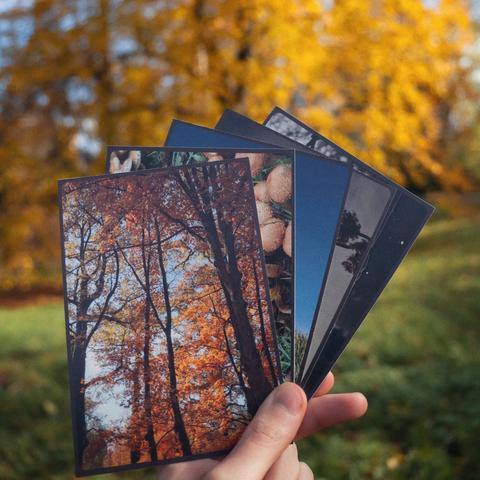 Wabi-Sabi Nature Postcard Set - 5 Zen Photography & Haiku Postcards