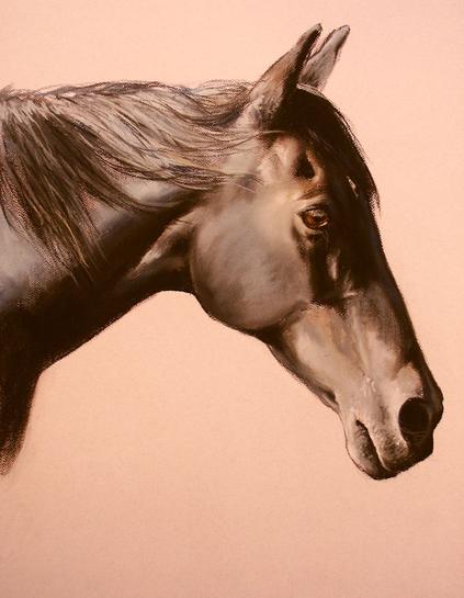 pastel portrait of a dark bay horse head on paper