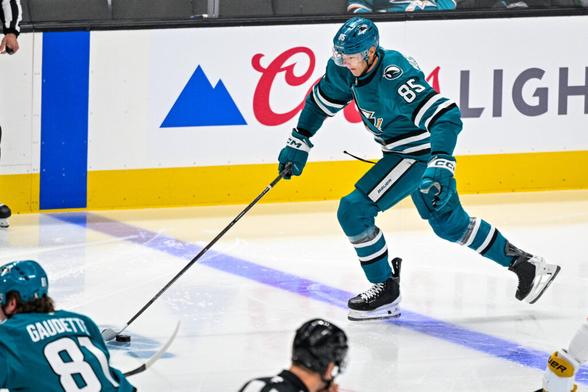 San Jose Sharks defenseman Shakir Mukhamadullin