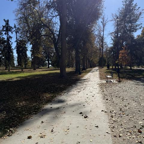 A concrete path extending into the distance in an urban park in autumn.
