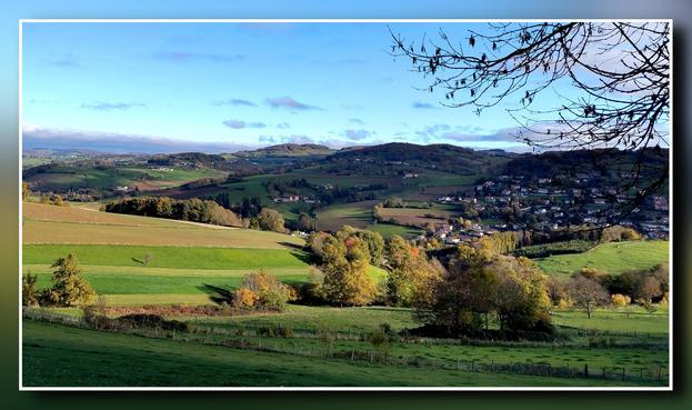 Un paysage vallonné sous le soleil avec des arbres au feuillage doré par l'automne dans des champs verdoyants. Le ciel est bleu avec quelques nuages gris.