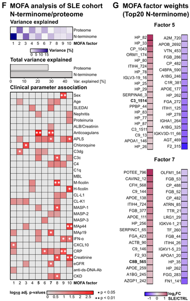 MOFA data analysis for the N-terminomics data is displaying significant correlations with clinical parameters and some factors feature also our already identified C3-LHF1 cleavage at pos. 1514. This cleavage is increased in SLE patients and among the top up-regulated determinants for the corresponding MOFA factor 5.