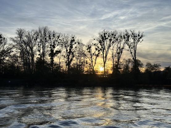 Captured from a cruise ship on the Danube river in late October, this photo shows the sun setting behind a line of bare trees silhouetted against a softly glowing sky. The calm river reflects the warm light and subtle ripples of the evening, creating a serene fall atmosphere.
