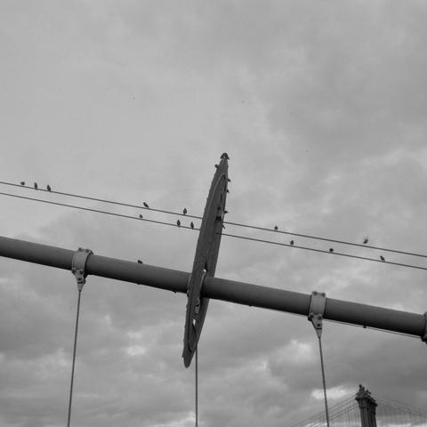 Mamiya 6 IV | Cinestill BWXX 250

Home developed in XTOL Stock | 9:30 @ 22 C | Rotation

Birds sitting on the cables