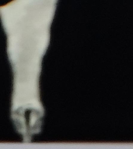 A blurry photo of a black and white drawing of someone's leg in fishnets and high heels thick.