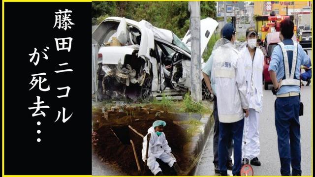 藤田ニコルの離婚の内容が悲惨すぎて驚きを隠せない…藤田ニコルの悲しすぎる最期に涙溢れる…