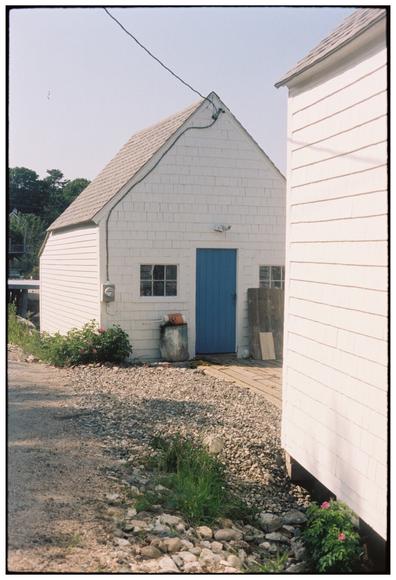 A film photograph of a small white-shingled building with a a dark cerulean door, two small six-paned windows, and a gable roof. Though it is not immediately obvious in the photo, the building sits right at the edge of a harbor, built on a wharf. The wood planking of the wharf is just visible to the right of the blue door. Just left of the blue door, the planking ends and gives way to gravel. There is a hedge of Rosa rugosa bushes with a few pink flowers along the edge of the building. In the foreground at the right edge of the frame there is a second white building.