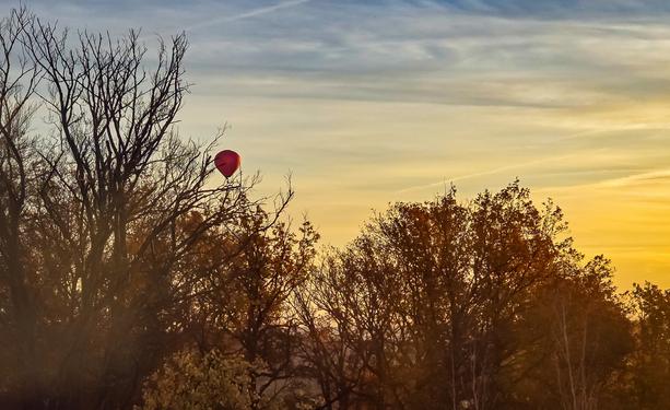 Ein roter Heißluftballon schwebt zwischen den kahlen Ästen und herbstlich gefärbten Bäumen im warmen Licht eines Sonnenaufgangs.