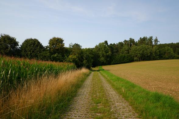 Feldweg bei Poggersdorf