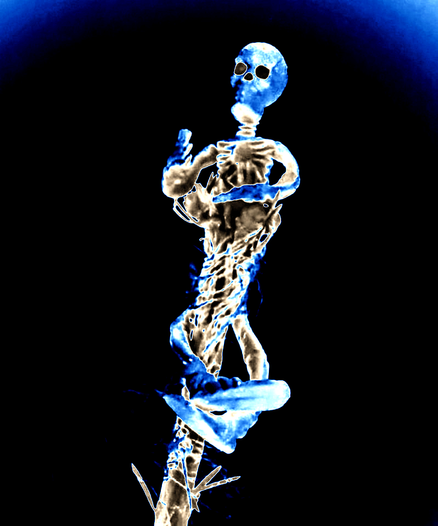 Ein Skelett aus Gummi umschlingt die Spitze eines Nadelbaums. Durch veränderte Tonkurven ist das Skelett in Blau - und Weißtönen, der Hintergrund schwarz.