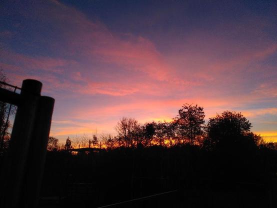 Ein pink-lilaner Himmel vor den schwarzen Umrissen von Bäumen und Bauzäunen.