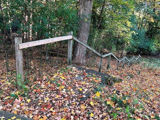 A set of wooden stairs leading down from a trail. The stairs are almost completely hidden by fallen leaves, with only a few bits poking through. Along the left side of the stairs is a railing of weathered wood, with the angle of the railing changing between each support post so that it makes a zig zag pattern down the hill. The background is trees.