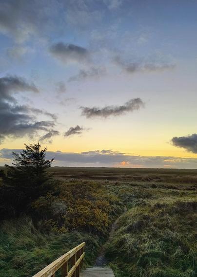 Eine üppig braun und grün wuchernde Salzwiese an der Nordseeküste in Schleswig-Holstein, Deutschland, zu der im Vordergrund eine Holztreppe mit einem Geländer hinunterführt. Ein schmaler Trampelpfad schließt sich unten daran an und führt durch die Wiese, die sich bis zum Horizont zieht, wo der Himmel nach dem Sonnenuntergang immer noch orange leuchtet. Einige graue Wolken bewegen sich schattenhaft davor.
A lush brown and green salt marsh on the North Sea coast in Schleswig-Holstein, Germany, with a wooden staircase with a railing leading down to it in the foreground. A narrow footpath connects to it at the bottom and leads through the meadow, which stretches to the horizon, where the sky is still glowing orange after sunset. A few grey clouds move shadowy across the sky.