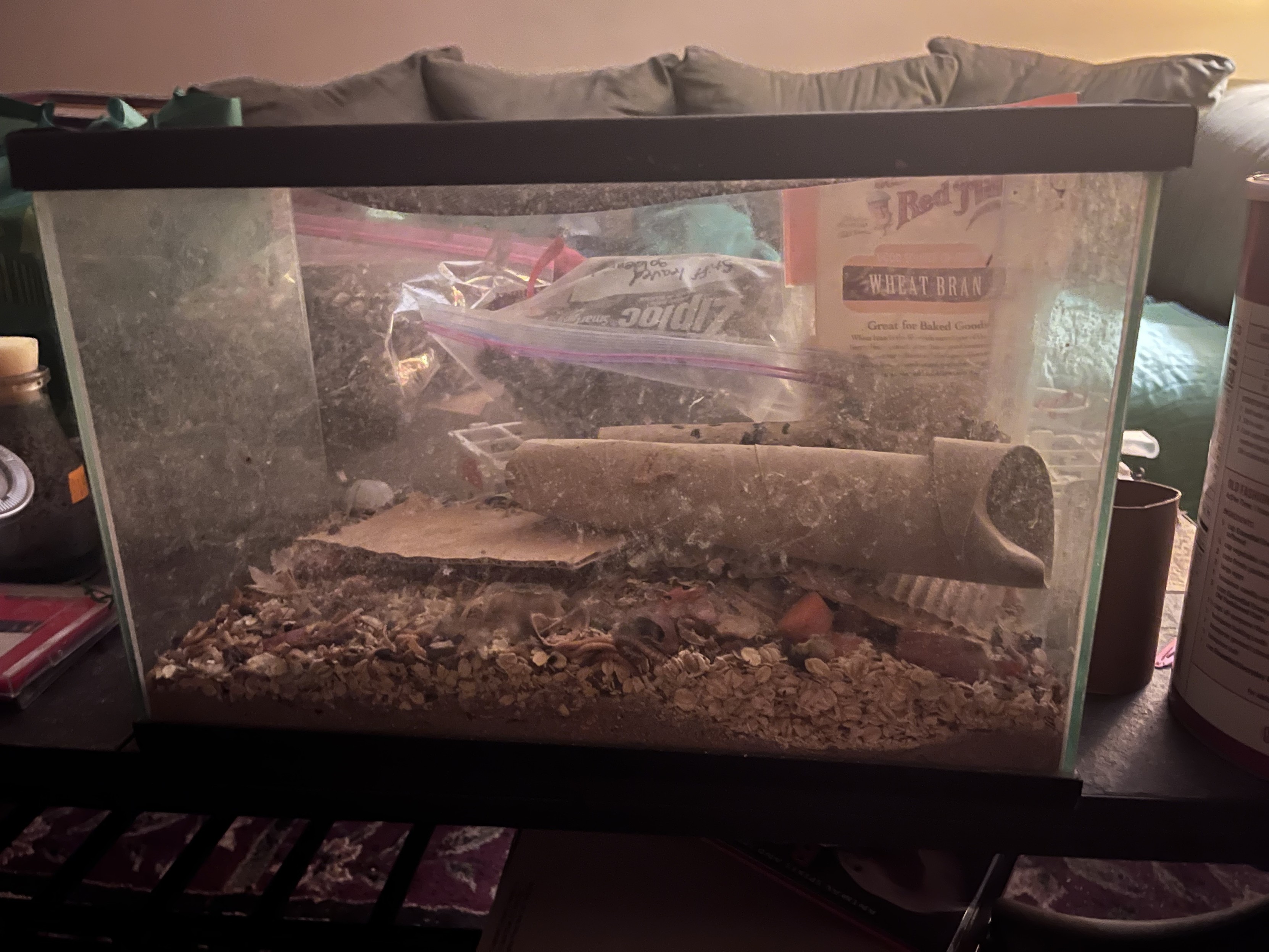 terrarium for raising mealworms