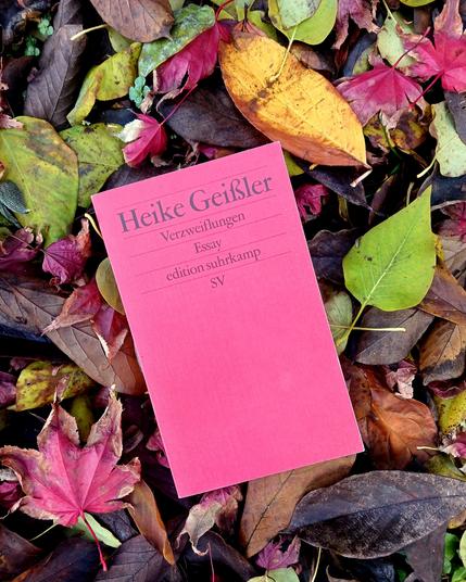 Foto des Buches mit dem schlichten roten Cover der edition suhrkamp, das auf buntem Herbstlaub liegt.