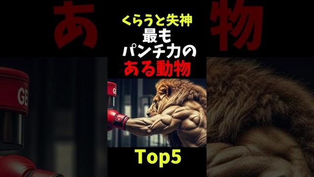 動物界のボクサーたち！最強パンチ力ランキングTop5　#動物雑学 #猛獣 #最強動物 #shortvideo