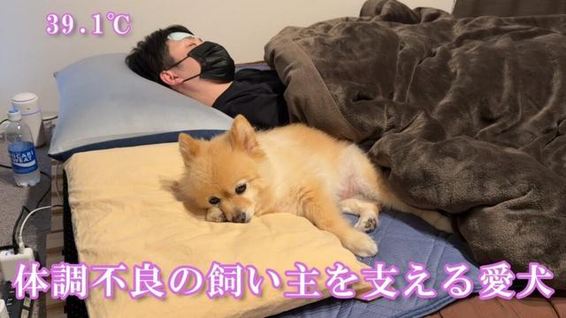 体調不良の飼い主を心配する愛犬の姿に、胸が締め付けられました…