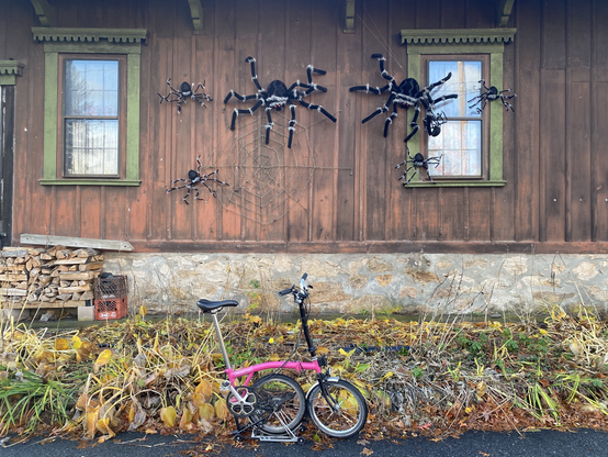 A pink Brompton bicycle stands at the side of a road, dwarfed by the giant Halloween spiders hanging on the wall behind it