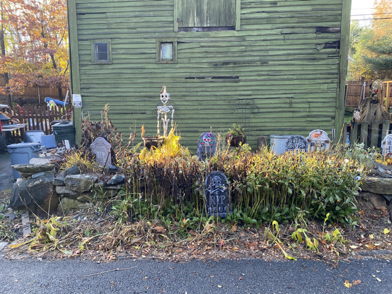 Halloween gravestones and skeleton decorations line a garden and a shed