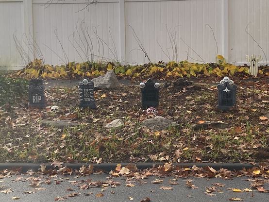 Halloween gravestones and skeleton decorations line a garden in front of a white fence
