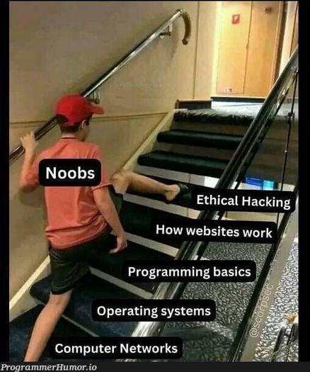 Una persona etiquetada como "noobs" subiendo una escalera, poniendo el pie sobre el escalón "ethical hacking", saltando todos los escalones anteriores, computer networks, operating systems, programming basics, how websites work.