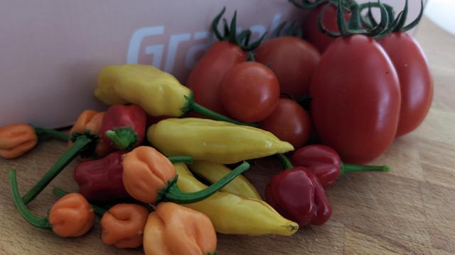 die reifen gelben, orangen, roten Chilis und die roten Tomaten vor der Schachtel auf dem Brett