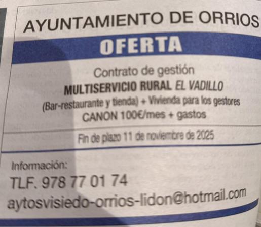 AYUNTAMIENTO DE ORRIOS
OFERTA
Contrato de gestión
MULTISERVICIO RURAL EL VADILLO