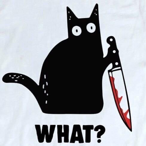 From a “What?” Murderous Cat t-shirt 
Stylized black cat holding a blooding knife “What?”