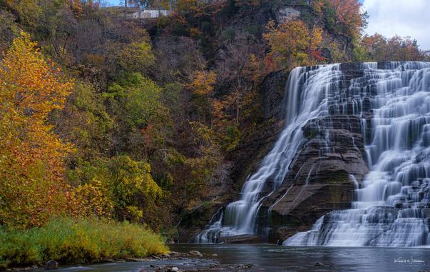thaca Falls with brilliant golden-yellow autumn foliage on left side, water flowing smoothly over wide shale rock face into Fall Creek pool below