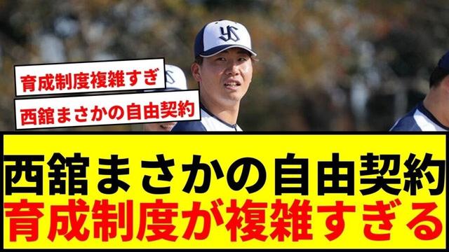 【速報】ヤクルト西舘、阪神森木ら125名が自由契約に!育成選手制度の複雑さにファン困惑