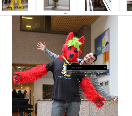 Cropped screenshot of a photo opened in the digiKam photo management application. The selected photo is of a bright red canine fursuiter posing with open arms, and a human right behind them making a silly face. The software's face recognition has found the fursuiter, and wants the user to tag their name. The human has not been found.