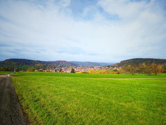 A town in the Remstal photographed from a bicycle path roughly a kilometre away. Colourful trees decorate the hills.