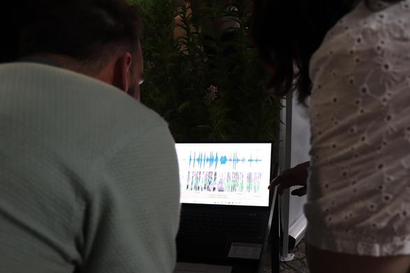 The sound waves of a visitor's voice shown on a laptop screen