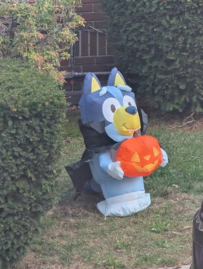 A Halloween lawn inflatable of Bluey dressed as a vampire holding a jack-o-lantern.