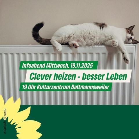 https://gruene-es.de/termine/energie-sparen-sonnenenergie-nutzen-clever-heizen/