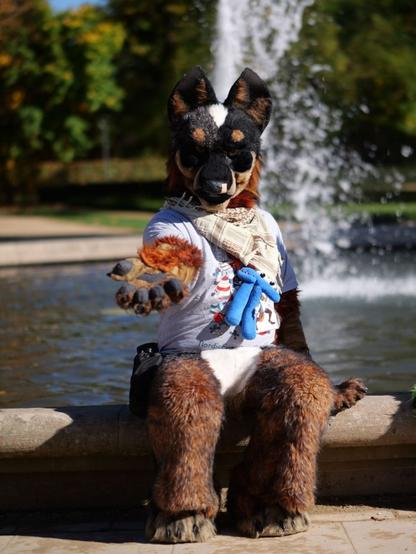 Blue Heeler fursuiter sitting on the edge of a fountain, offering his paw to take to the viewer.
