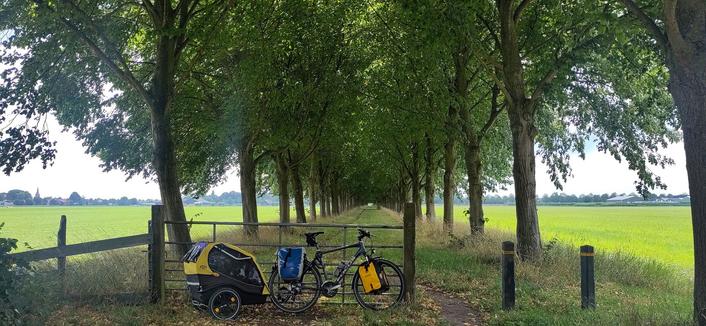 Touring bicycle with front and rear panniers and a bicycle trailer, in front of an iron fence, two wooden posts on the right-hand side. The bicycle is grey with black tyres, rims, handlebars and saddle. Yellow front panniers, blue/light grey rear panniers. The trailer has a black frame, yellow fabric top and plastic windows.

Behind the fence, a long row of trees on either side of a path leading to the horizon. To the left and right of the path and the trees, partly obscured by the trees in front, is a meadow. On the horizon on both sides are buildings and trees.