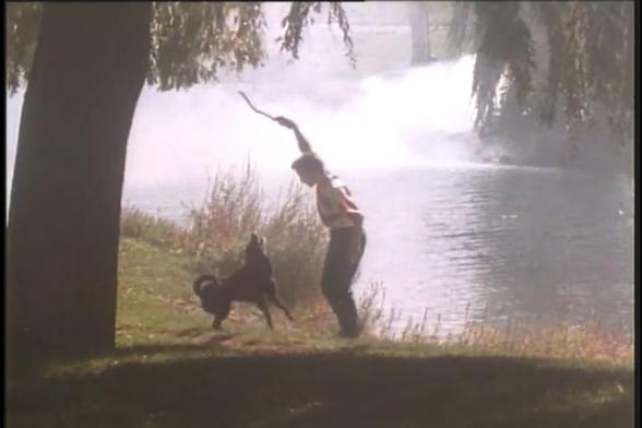 Idyllic scene of boy a playing with his dog in a park, with a river in the background.