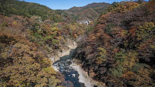 【若林直樹のトラベルフォトギャラリー】秋の吾妻峡と八ッ場ダム（群馬県） - トラベル Watch