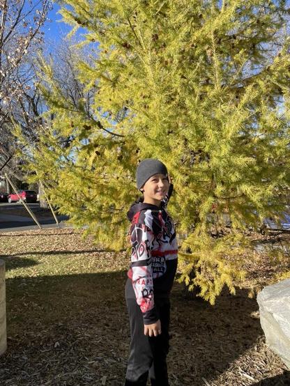 A child stands in front of a golden tamarack tree