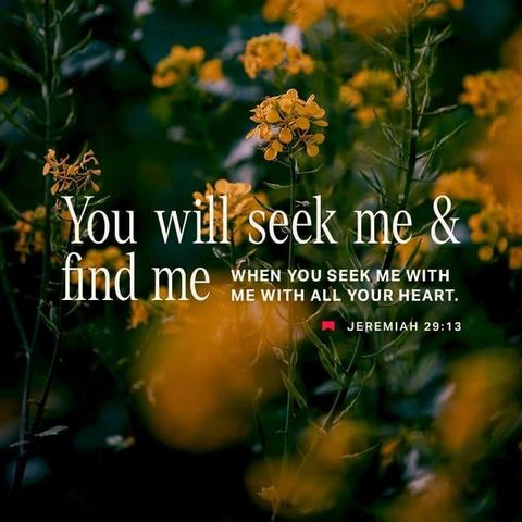 "If you look for me wholeheartedly, you will find me." - Jeremiah 29:13 (NLT)