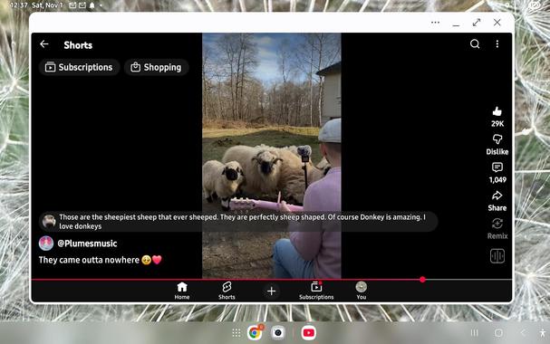 Sheep standing before seated man playing guitar in a field