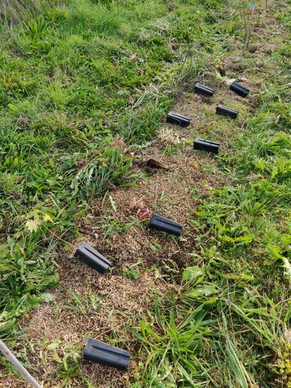 pots positionnés avant plantation