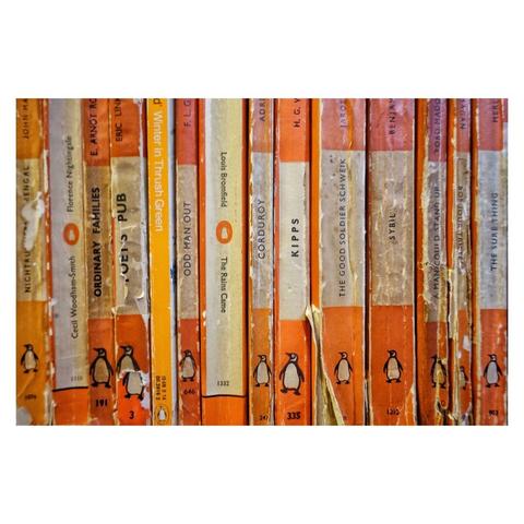 This is a landscape format close-up colour image of the spines of old, used Penguin paperback books. The books fill the frame, and the orange and off-white horizontal stripes of the well work covers crisscross with the vertical lines created by the book spines. Taken in Lewes, East Sussex, with a Sony RX100.