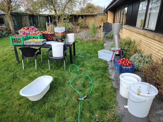 À garden with lots of buckets and a cider press and apples, ready for juicing!