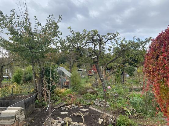 Blick in den Kleingarten mit Komposter, Apfelbaum und Gewächshaus, im Vordergrund ein neu angelegtes Beet mit Totholz und Steinen.